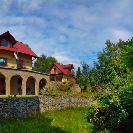 Willa Z Sauna Nad Jeziorem 61 Żywiec Exterior foto